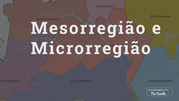 Mesorregião e Microrregião