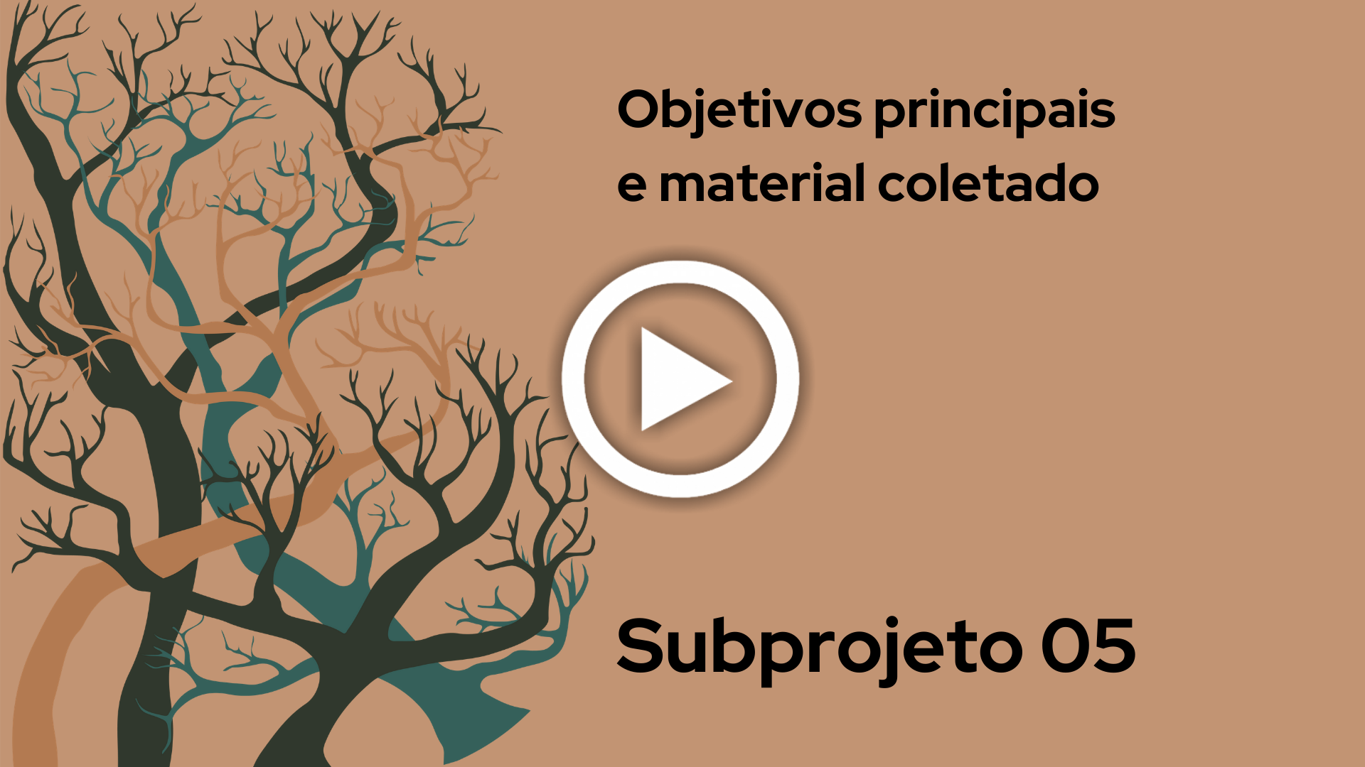 Objetivos principais e material coletado - Subprojeto 05